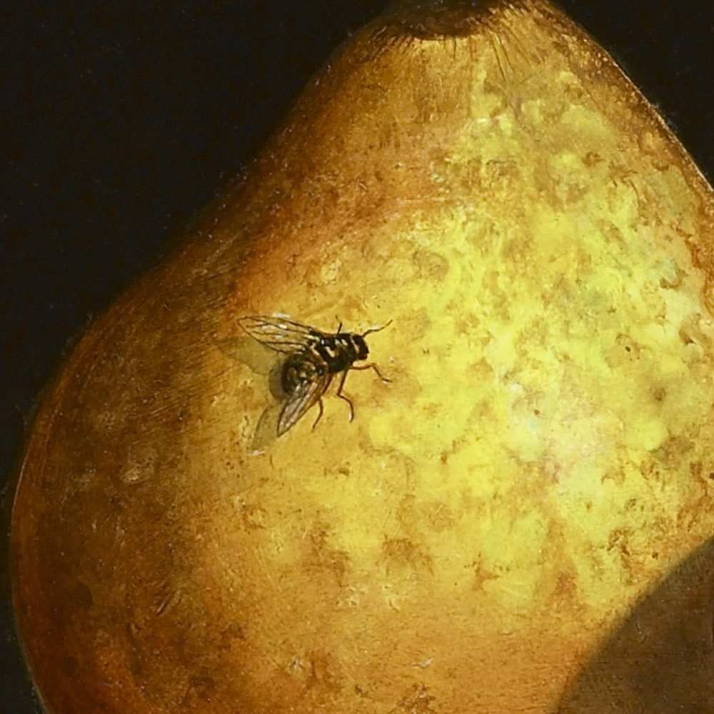 Detail of A Fly on a Ripe Pear