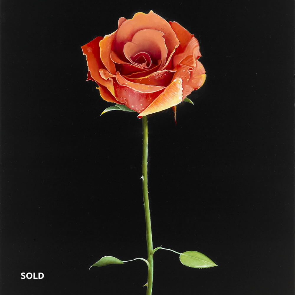 De Belle Epoque Roos, Olie op paneel, 60x30 cm
